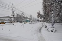Imagine atasata: Zapada 2012.12.09 - 46 - Circumvalatiunii-Gh.Cucu.JPG